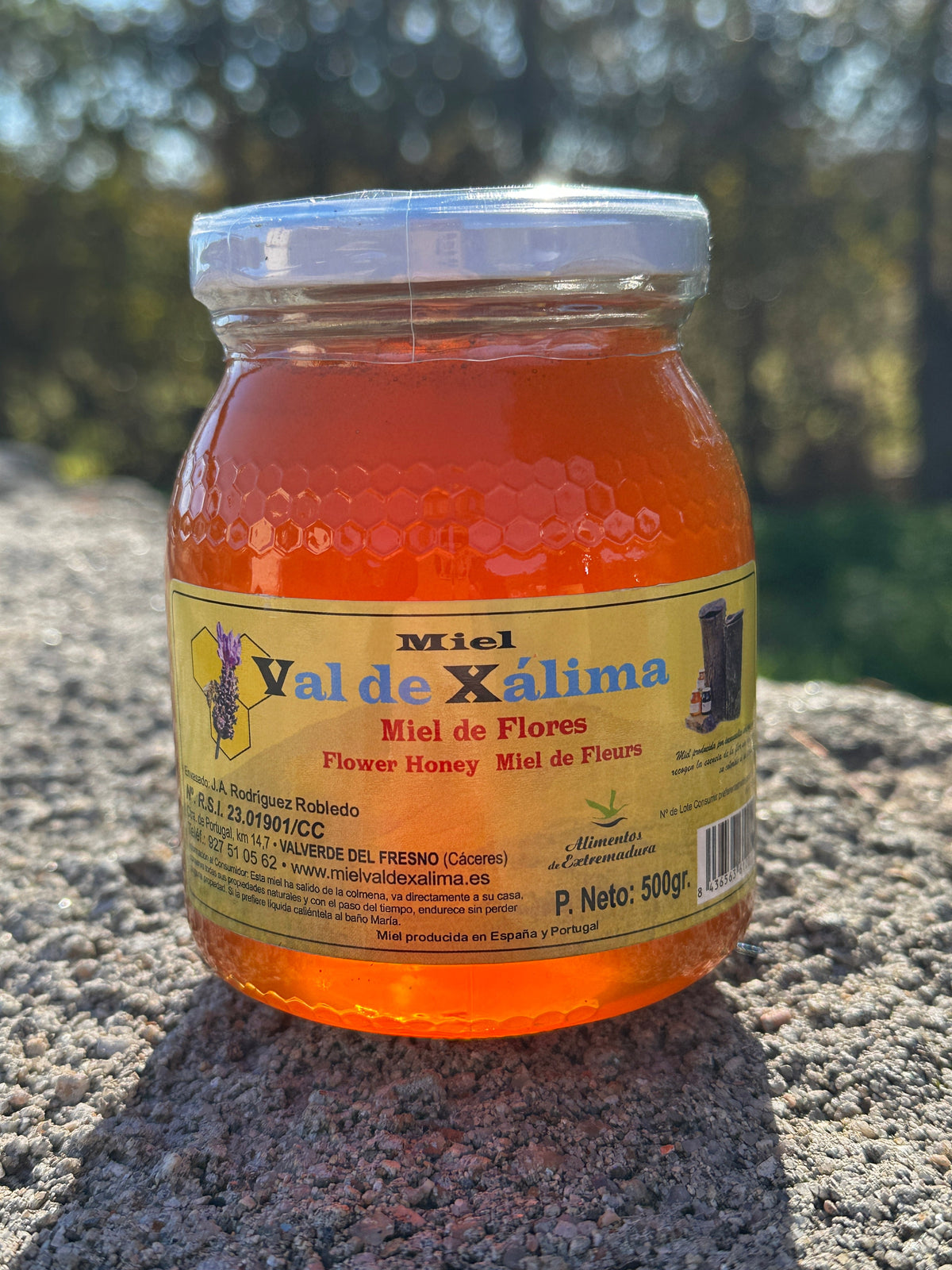 Naturbelassener Blütenhonig 500g - blumig und wild aus der Sierra de Gata