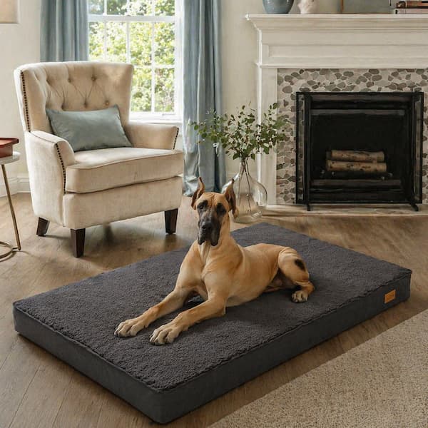Cama Ortopédica para Perros – Cojín grueso cómodo, funda lavable y alivio de articulaciones para perros mayores