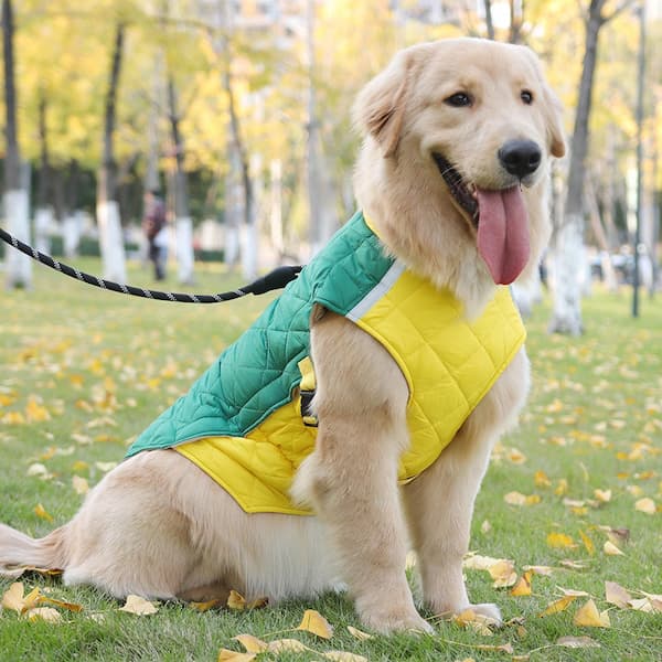 Waterproof Winter Dog Jacket with Reflective Strips – Padded Warm Dog Coat with D-Ring Harness Clip (Sizes M–5XL, Small to Large Dogs)
