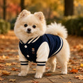 Embroidered Corduroy Varsity Jacket for Small Dogs & Cats – Lightweight Autumn Coat