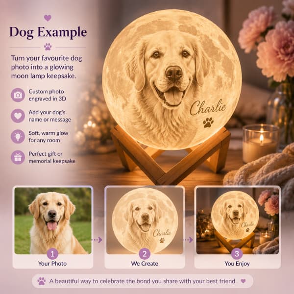 Personalized Pet Photo Moon Lamp | Custom 3D Night Light