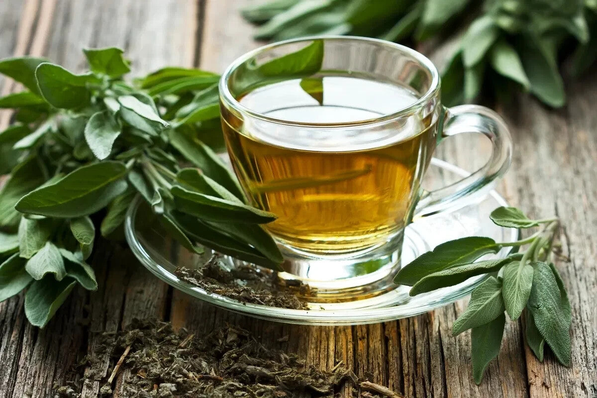 80g Azores Chá Canto Green Tea with Jasmine – Loose Leaf  Delicate & Floral Infusion