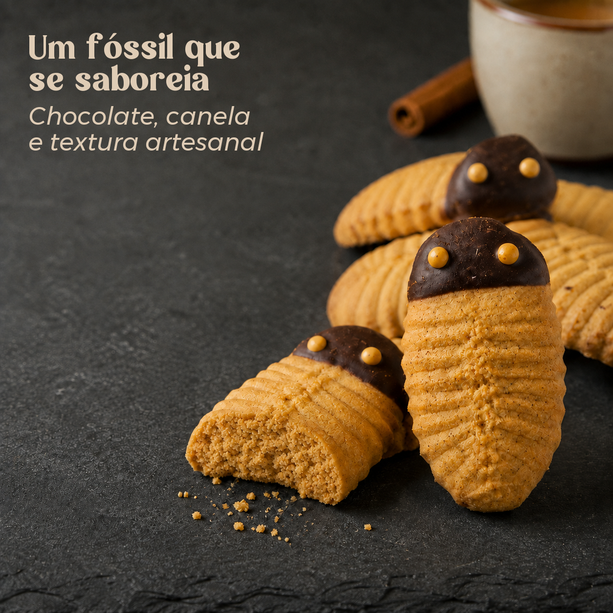 Trilobites a Granel - Bolachas Geológicas Artesanais da Beira Baixa